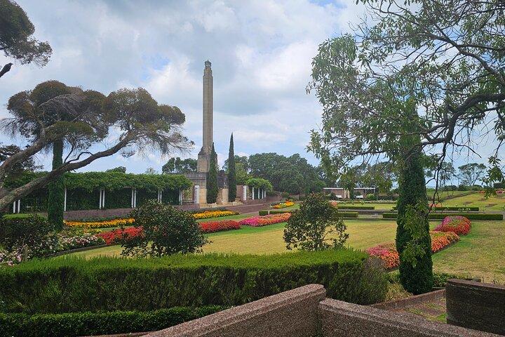 Auckland City Highlights Tour