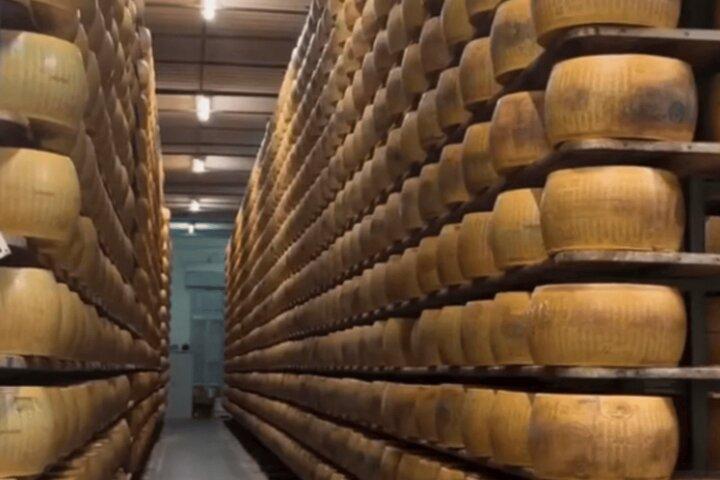 Parmigiano Reggiano Tour & Traditional Emilian Lunch Near Modena