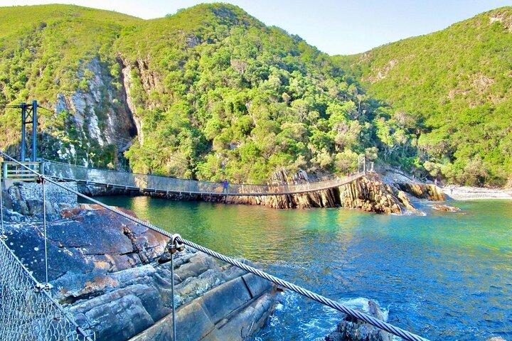 1 Day Garden Route Tour to Tsitsikamma from Port Elizabeth