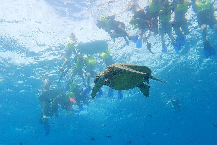 Snorkeling with Turtle/Water Scooter/Paddleboard Adventures Oahu
