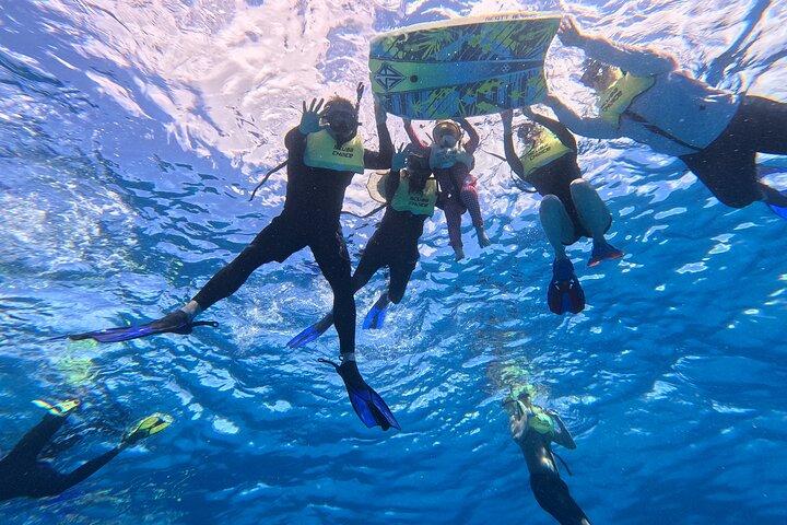 Snorkeling with Turtle/Water Scooter/Paddleboard Adventures Oahu