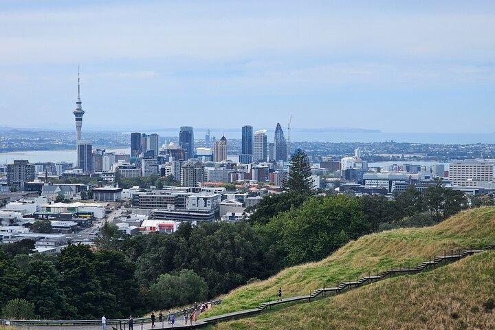 Auckland City Halfday Guide Tour