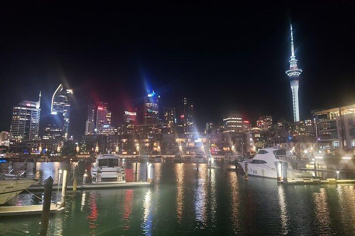 Auckland City Halfday Private Tour