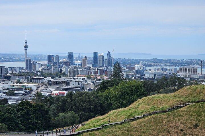 Auckland City Halfday Private Tour