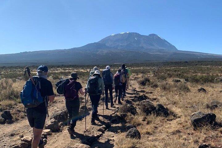 Kilimanjaro Day Hike at Shira Plateau