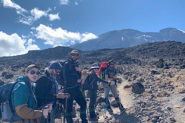 Kilimanjaro Day Hike at Shira Plateau