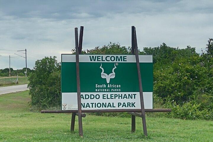 Port Elizabeth Half-Day Addo Elephant National Park Tour