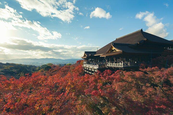 Kyoto Gion Early Morning Walking Tour