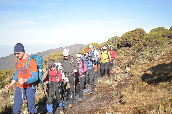 6 Days Kilimanjaro climbing | Hiking Tour via the Rongai Route