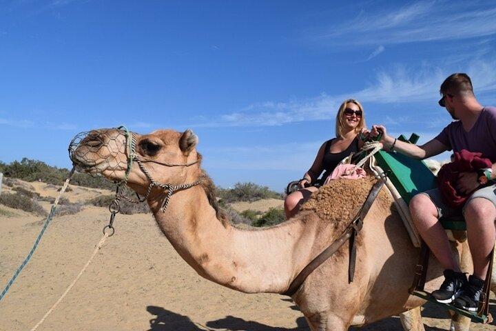 Camel riding in the dunes of Maspalomas