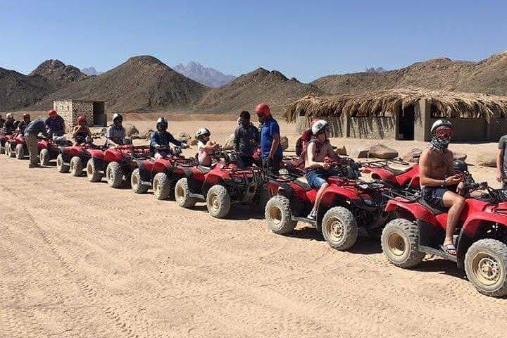 Camel ride & Bedouin dinner quad safari in Sharm el Sheikh