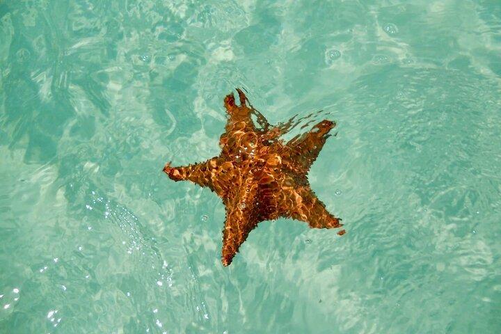 El cielo Cozumel From Cancún and round Transfer with Lunch
