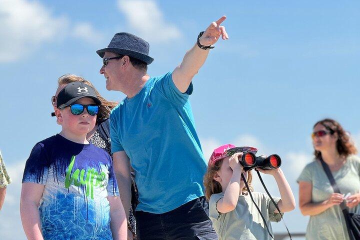 Birdwatching Experience in Narte Lagoon & Akerni Dunes