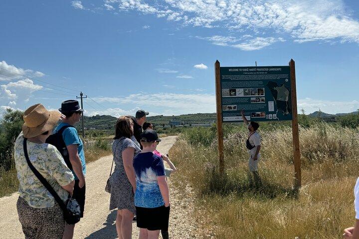 Birdwatching Experience in Narte Lagoon & Akerni Dunes