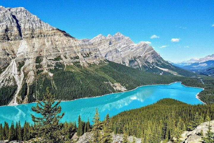 Columbia Icefield,Peyto Lake,Bow Lake Day Trip from Banff/Calgary