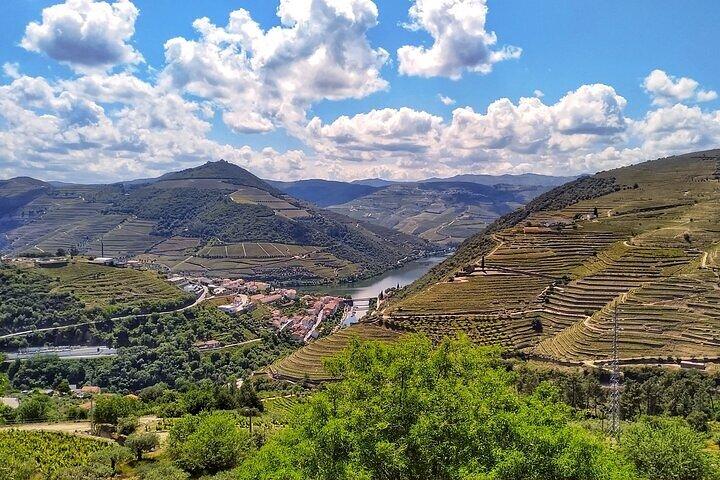 Régua: Prime Douro Valley Tour: 9 wines, Trad. Lunch & Priv. Boat
