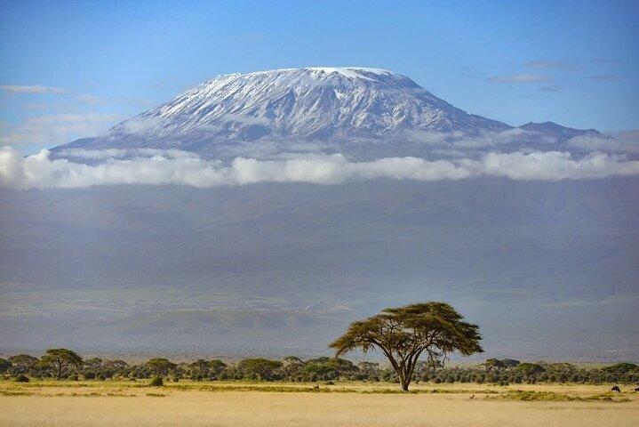 3 Days 2 Nights Joining Tour to Amboseli National Park