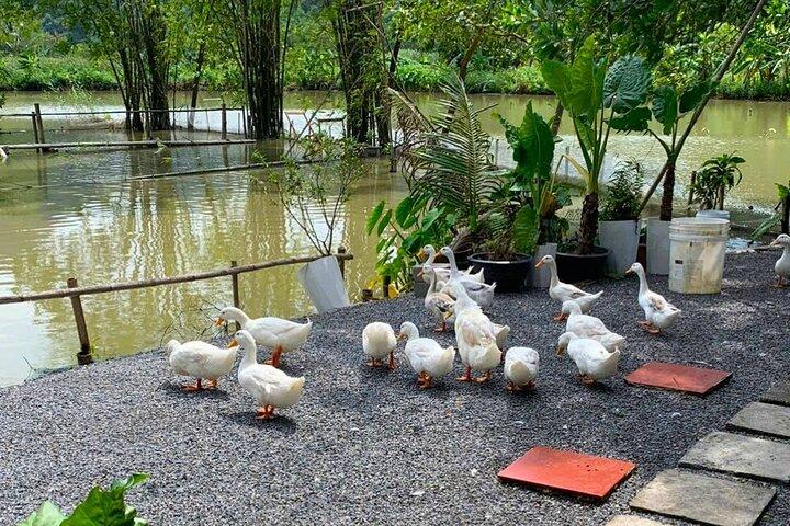 Hanoi: 1 Day Motorbike Tour Discover Ninh Binh’s Hidden Charms