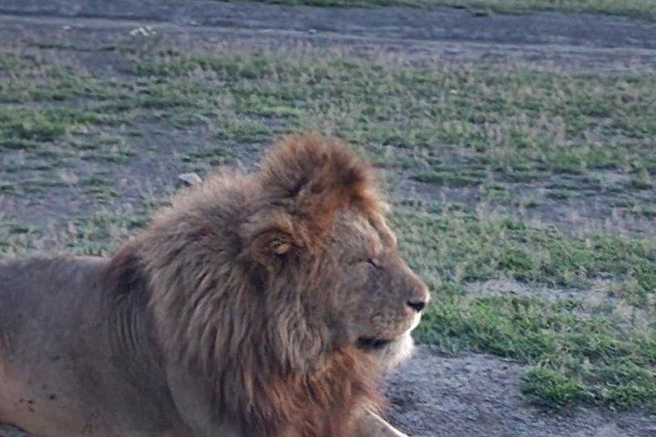 3 days Best Tarangire ,Lake Manyara and Ngorongoro Crater Safari