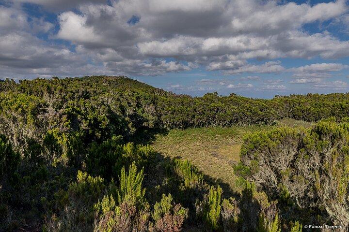 Mt Kilimanjaro Hiking via Marangu Route Day Trip