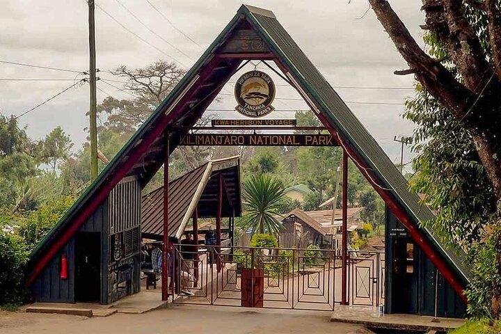 Mt Kilimanjaro Hiking via Marangu Route Day Trip