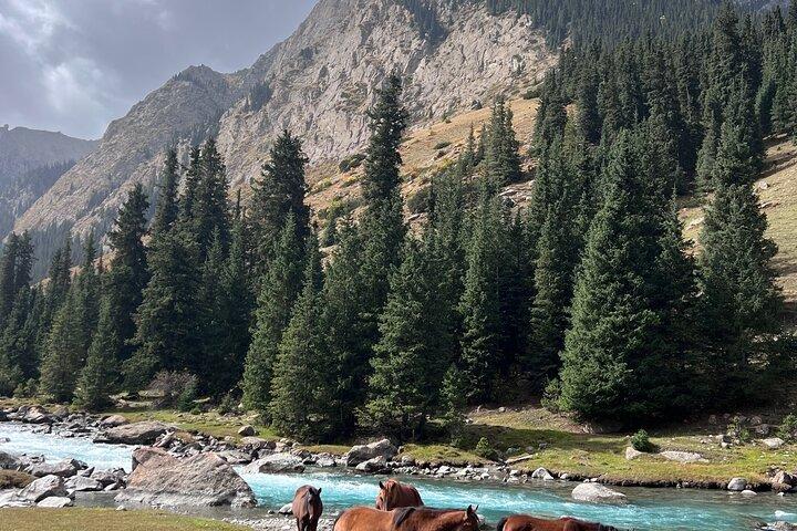 2 Days tour to Issyk Kul lake with Yurt Stay