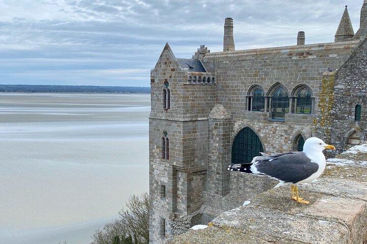 Live Guided Mont Saint-Michel D Day Private trip by Mercedes