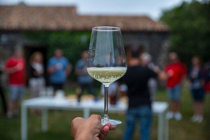 Wine tour at Mosteiro de Tibães with an exclusive wine tasting