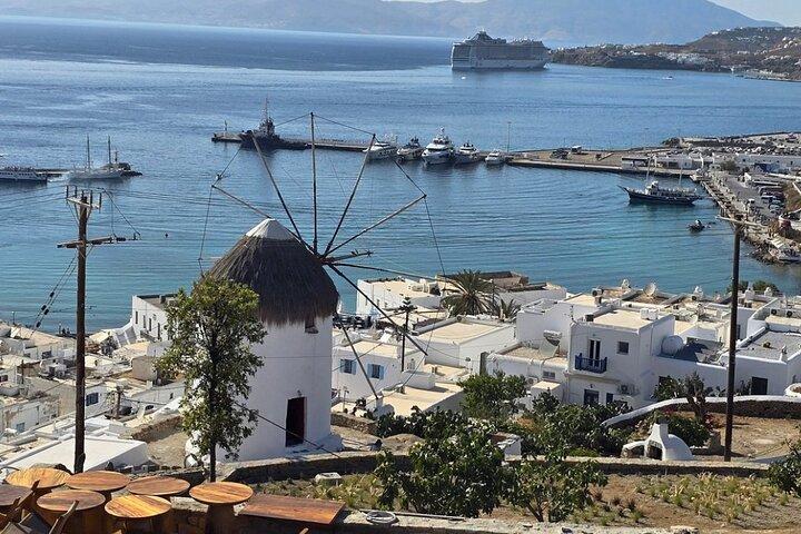 Mykonos Private Island Tour In Half Day