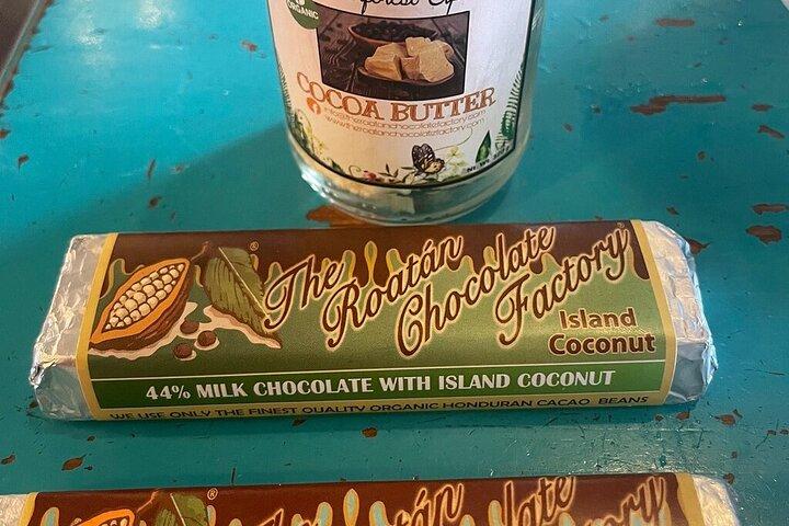 Roatan Sloth Monkey Adventure with Iguana Farm Chocolate Tasting