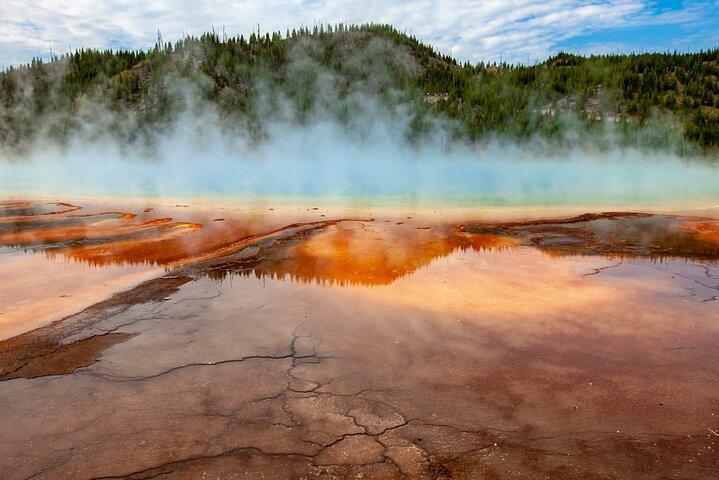 From Bozeman Express Yellowstone Full Day Tour