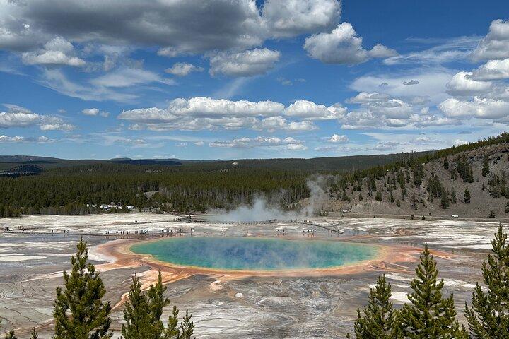 From Bozeman Express Yellowstone Full Day Tour