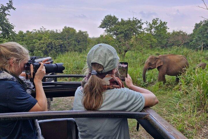 Sri Lanka Full Circle 4-Day Private Tour