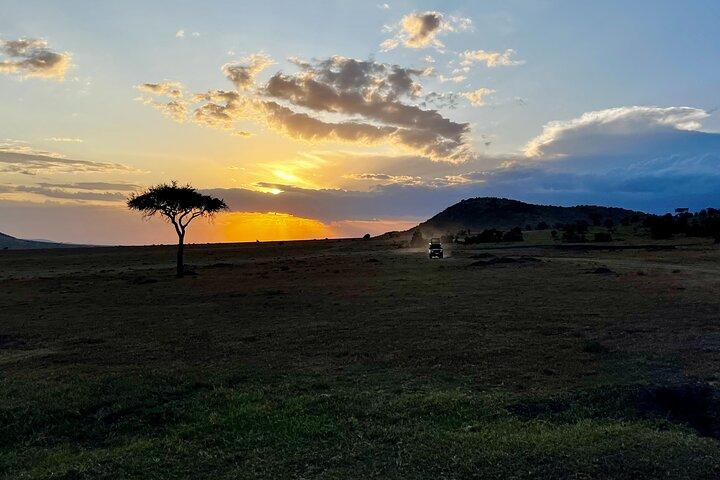 5 Day Private Masai Mara National Reserve Safari Tour
