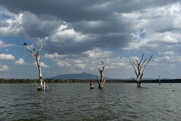 5 Day Private Masai Mara National Reserve Safari Tour