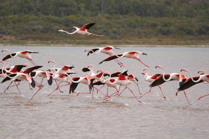 5 Day Private Masai Mara National Reserve Safari Tour