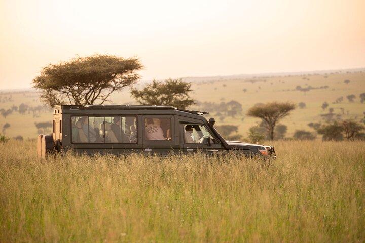 2 Days Private Budget Lodge to Tarangire and Ngorongoro crater