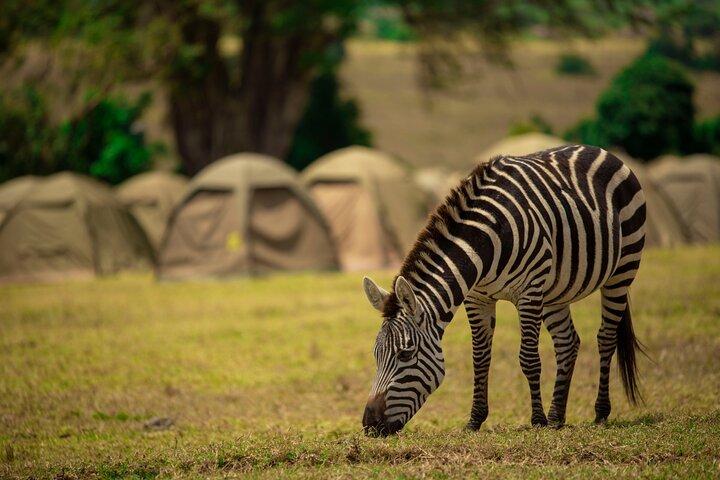 2 Days Private Budget Lodge to Tarangire and Ngorongoro crater
