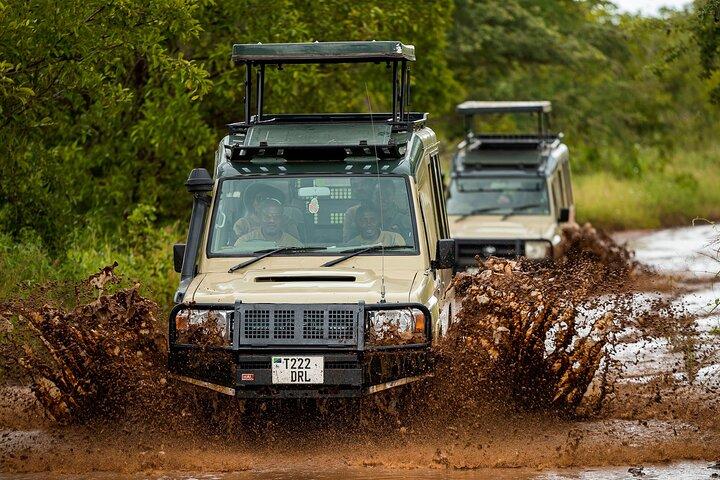 3 Days Private Budget Lodge Safari