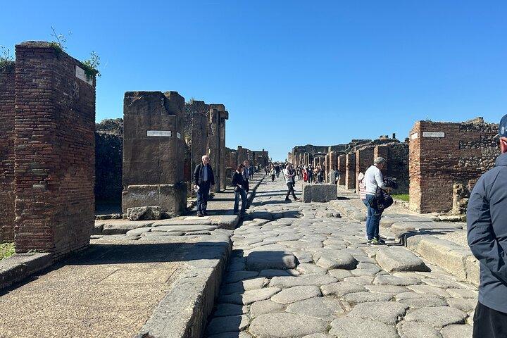 Pompeii Vesuvius and Wine tasting from Sorrento
