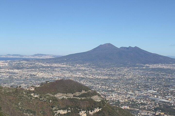 Pompeii Vesuvius and Wine tasting from Sorrento