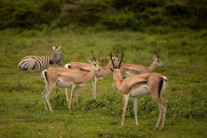 4 Days Private Budget Camping Tour