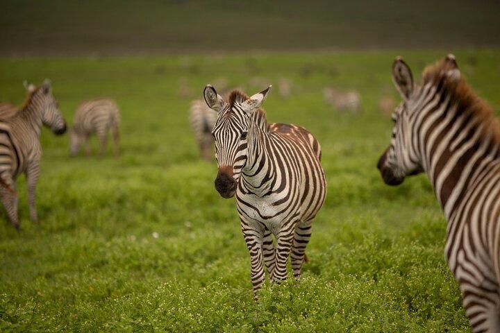 4 Days Private Budget Camping Tour