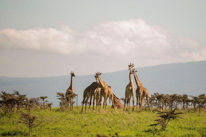 4 Days Private Budget Camping Tour