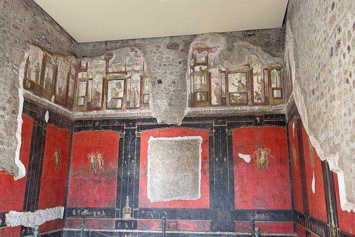 Pompeii and Vesuvius with Wine Tasting from Sorrento