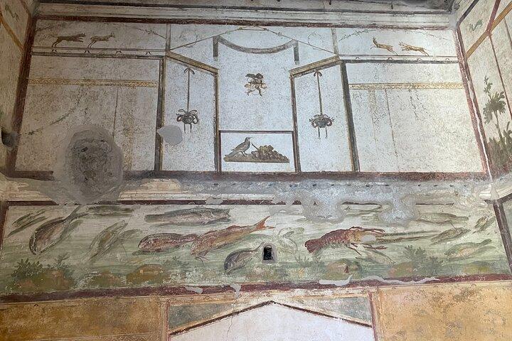 Pompeii and Vesuvius with Wine Tasting from Sorrento