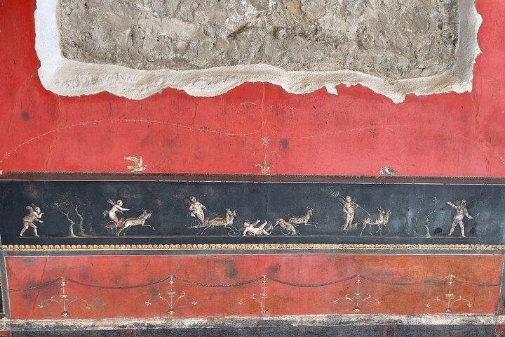 Pompeii and Vesuvius with Wine Tasting from Sorrento