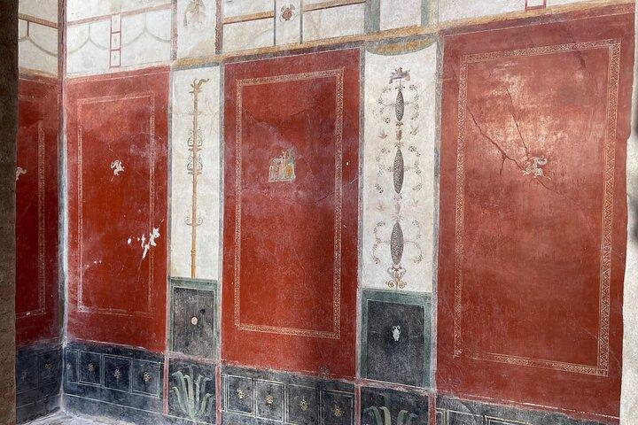 Pompeii and Vesuvius with Wine Tasting from Sorrento