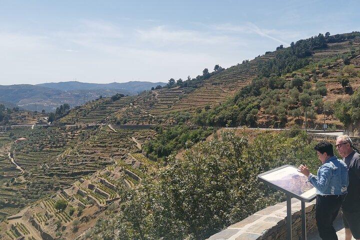 From Lisbon: Private Douro Valley UNESCO Tour region of Port Wive