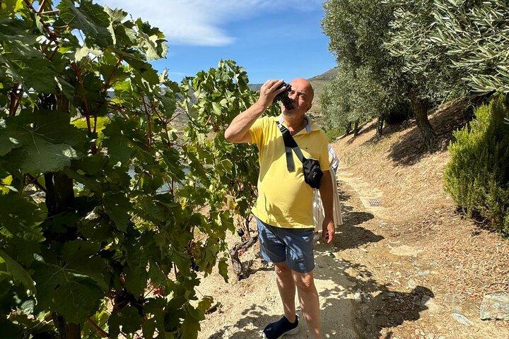 From Lisbon: Private Douro Valley UNESCO Tour region of Port Wive